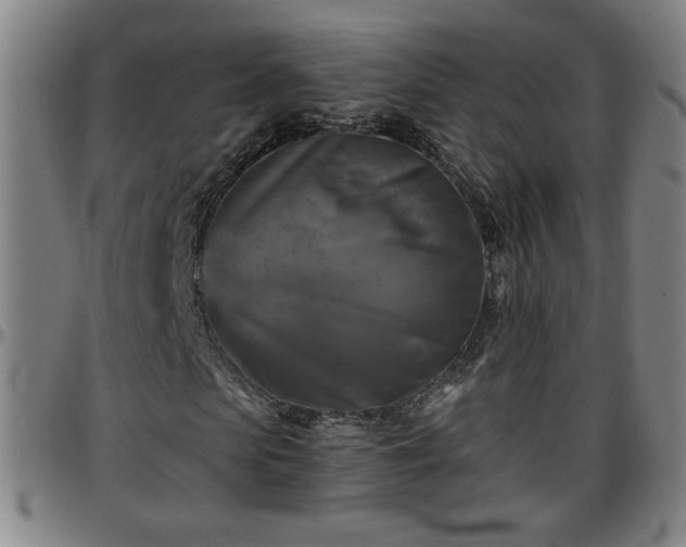 X0000096380913200801311255