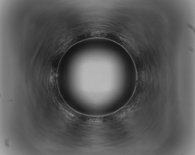 X0000096380914200801311255