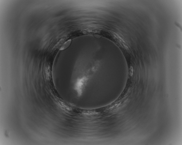 X0000096380915200801311255