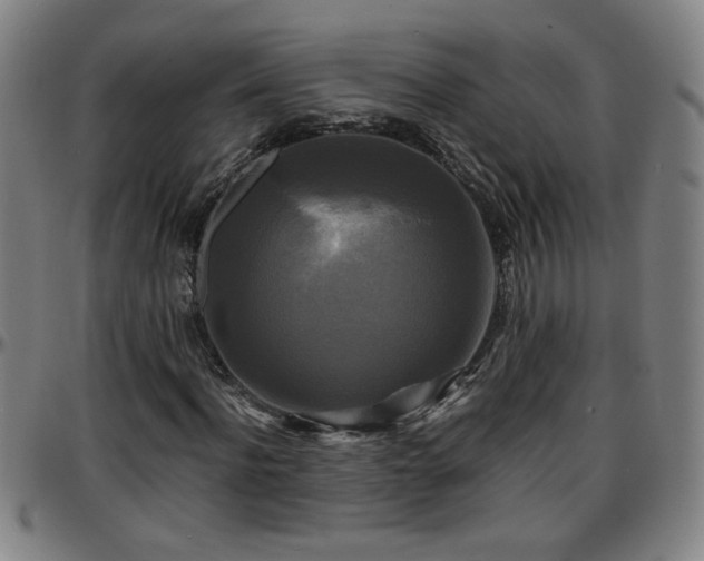 X0000096380916200801311256