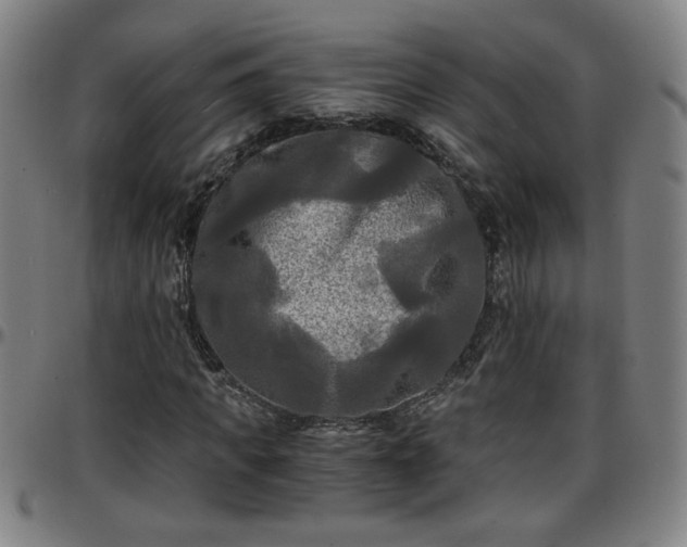 X0000096380917200801311256