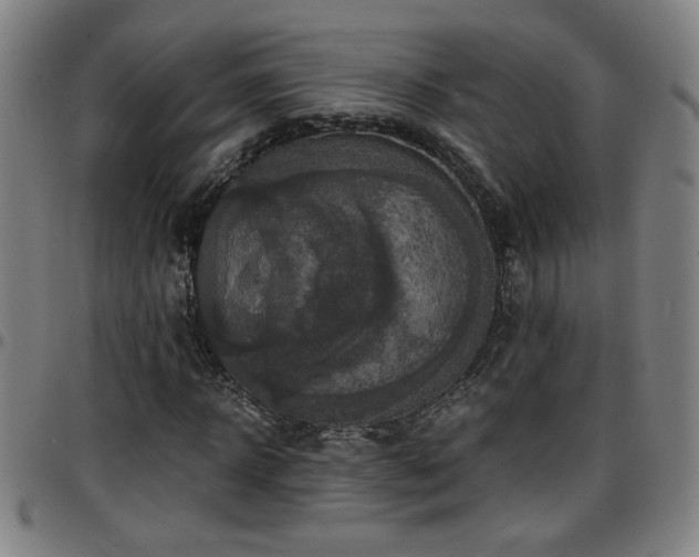 X0000096380918200801311256