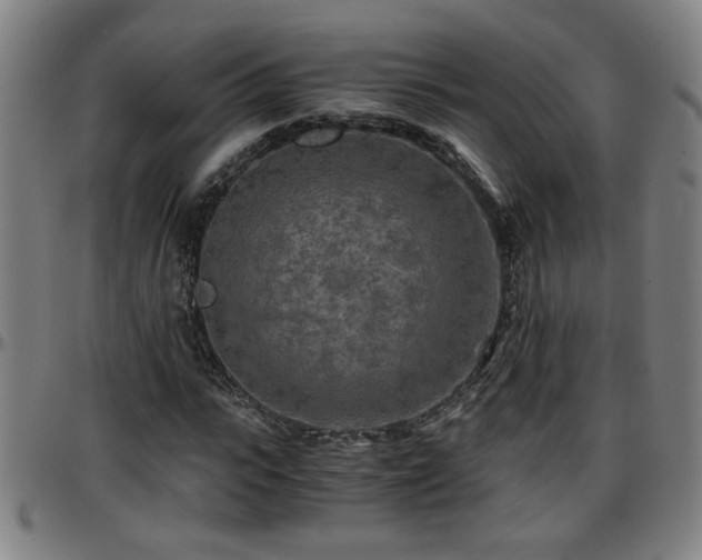 X0000096380919200801311256