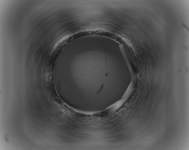 X0000096380920200801311256