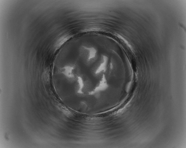 X0000096380921200801311256