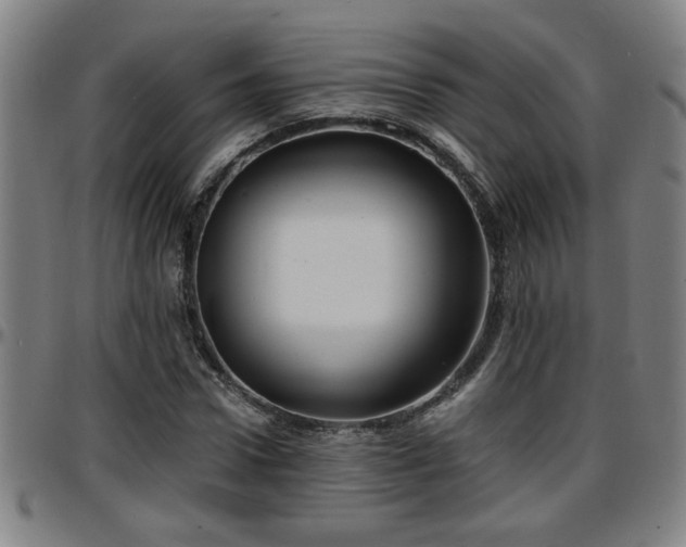 X0000096380922200801311256