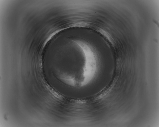 X0000096380923200801311256