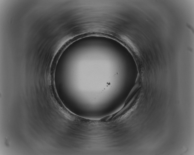 X0000096380924200801311256