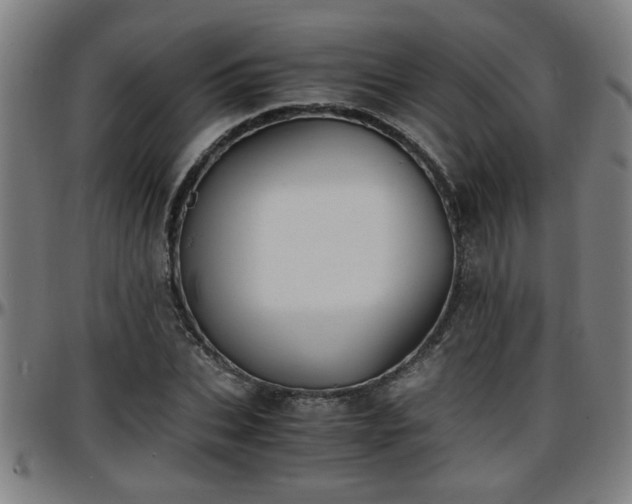 X0000096380927200801311256