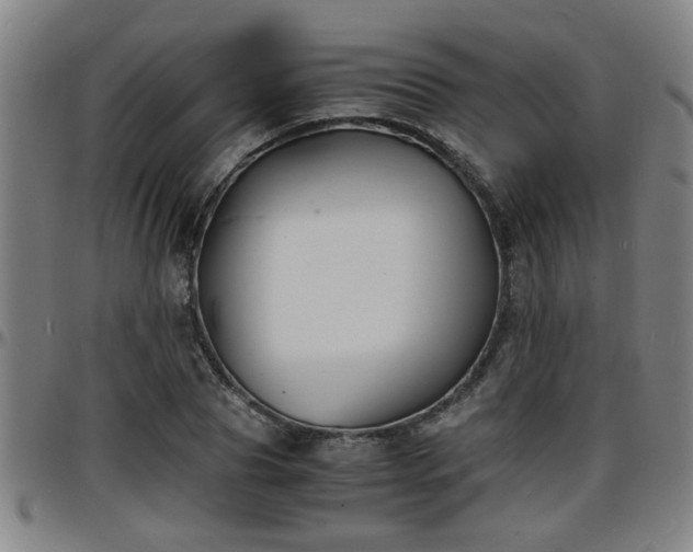 X0000096380929200801311256
