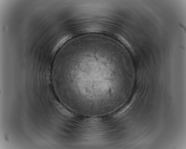 X0000096380930200801311256