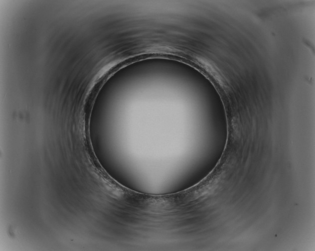 X0000096380931200801311256