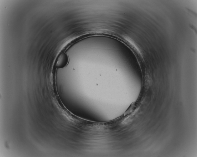X0000096380932200801311256
