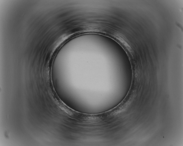 X0000096380933200801311256