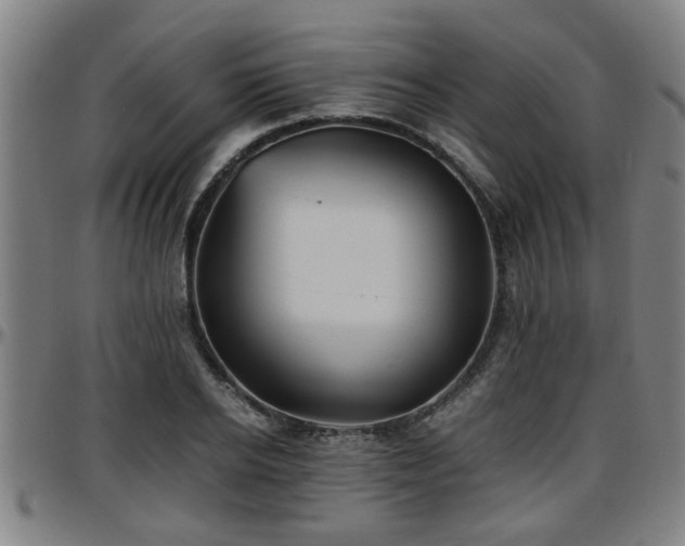 X0000096380934200801311256