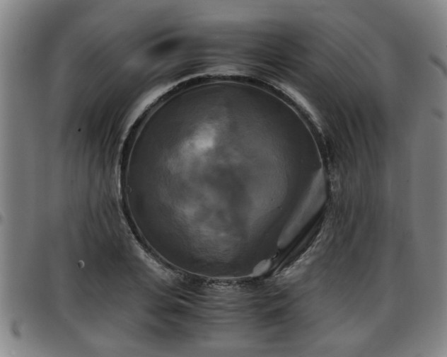 X0000096380935200801311256
