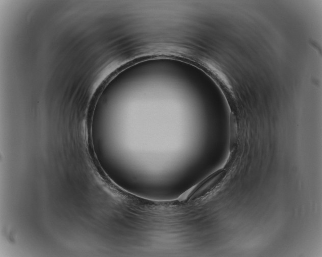 X0000096380936200801311256