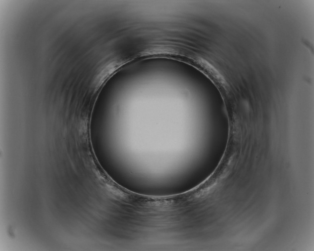X0000096380937200801311256