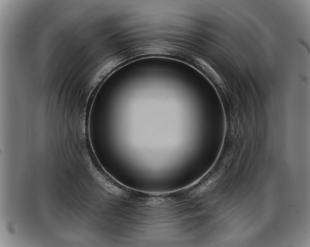 X0000096380938200801311256