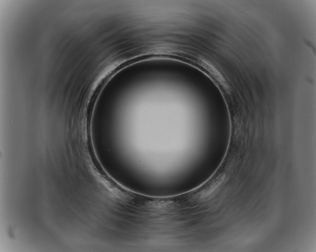 X0000096380939200801311256