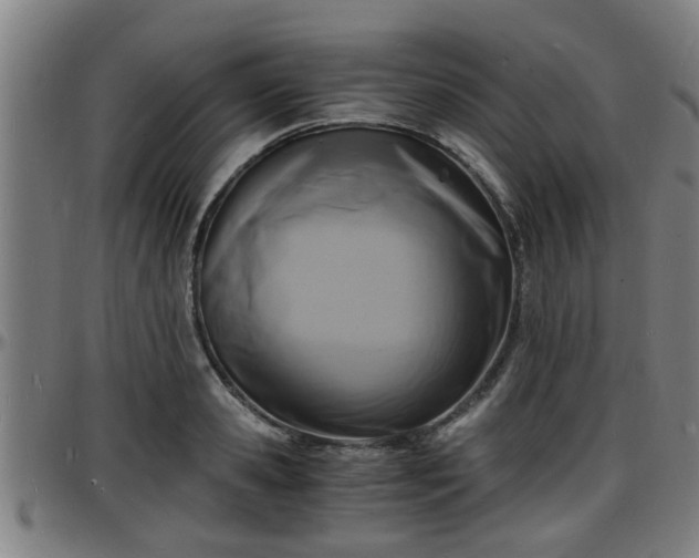 X0000096380941200801311256