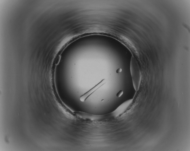 X0000096380942200801311256