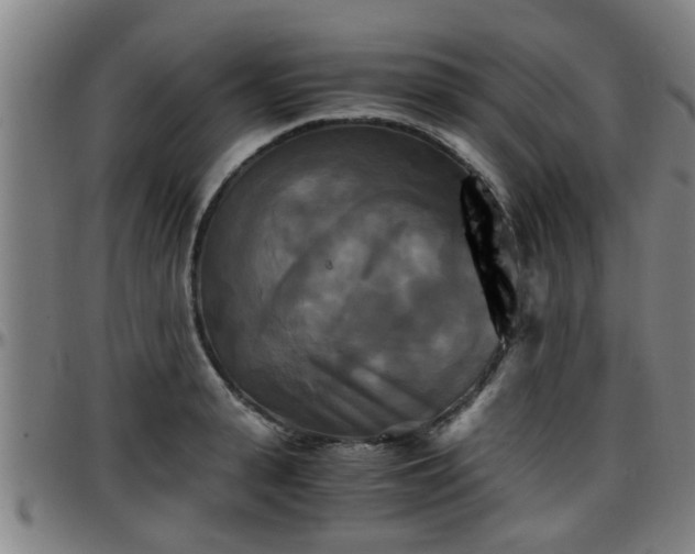 X0000096380943200801311256