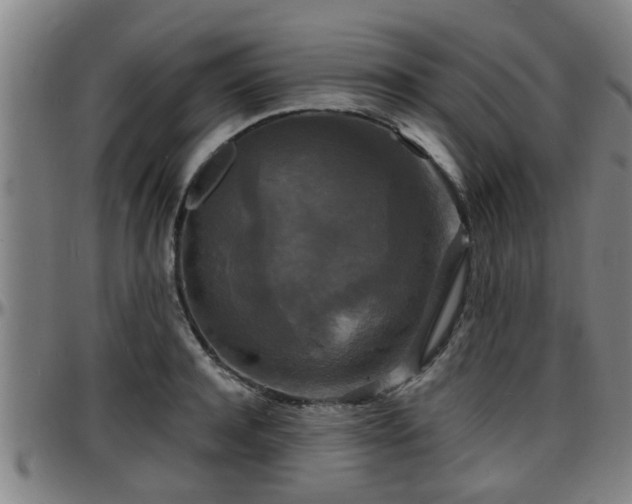 X0000096380944200801311256