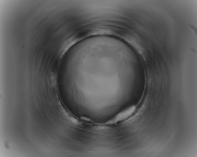 X0000096380945200801311256