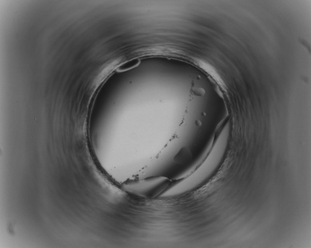 X0000096380946200801311256