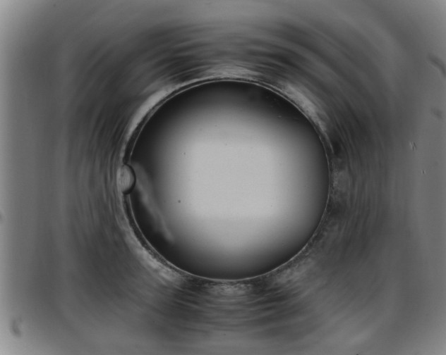 X0000096380947200801311256