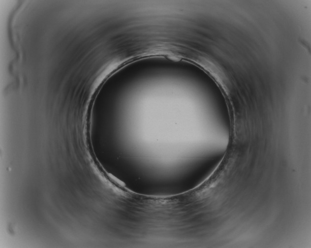X0000096380949200801311256
