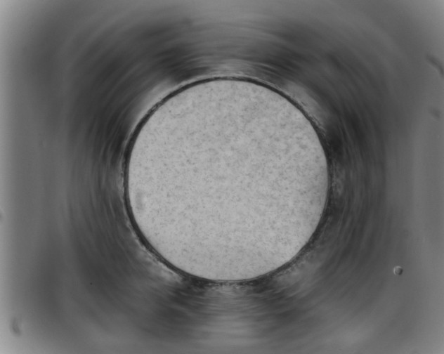X0000096380950200801311256