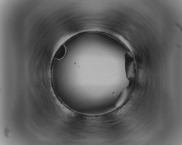 X0000096380951200801311256