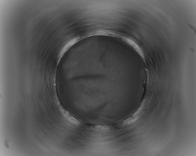 X0000096380954200801311256