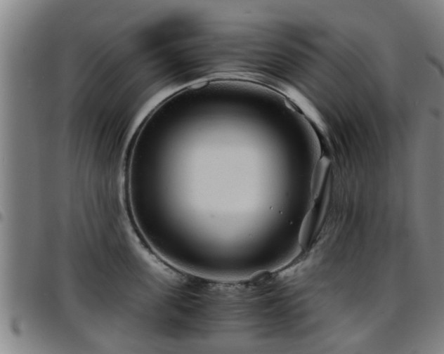 X0000096380955200801311256