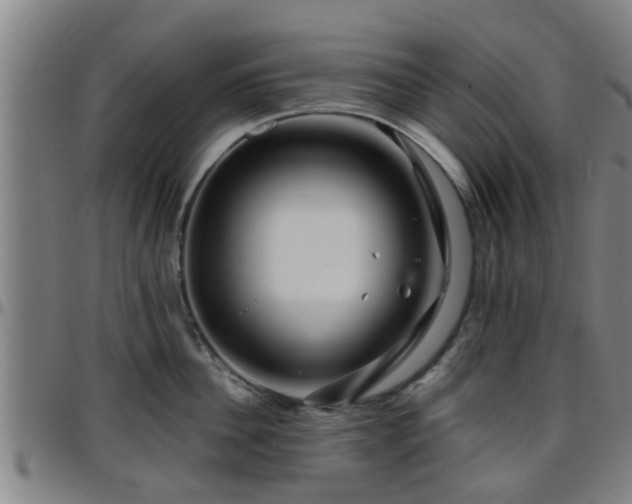 X0000096380956200801311256