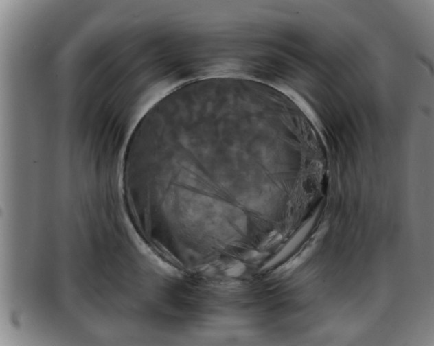 X0000096380957200801311256