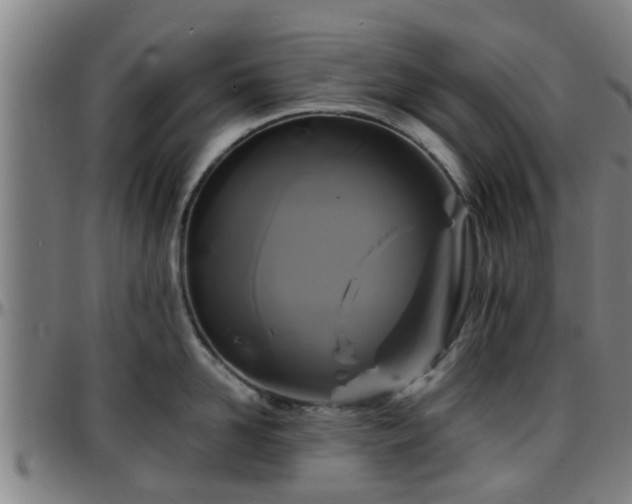 X0000096380958200801311256