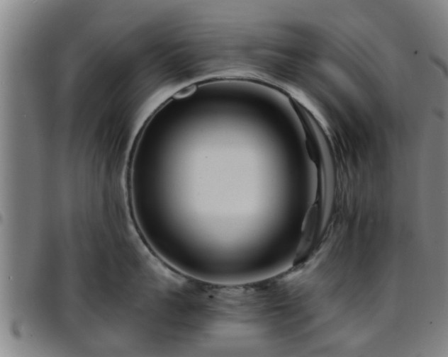 X0000096380959200801311256