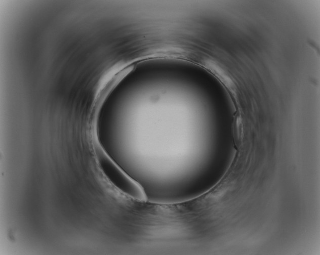 X0000096380960200801311256