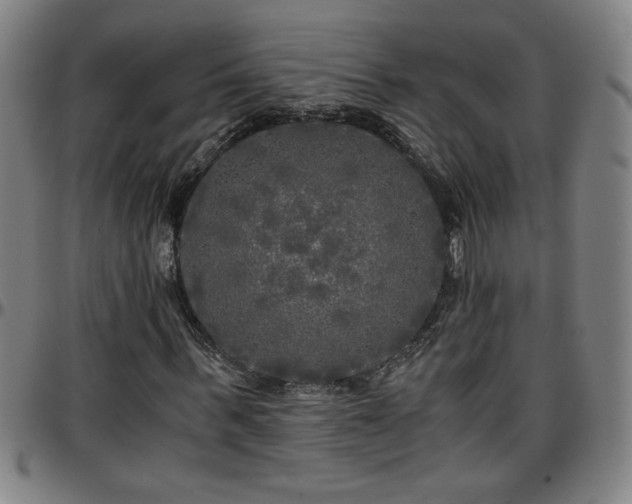 X0000096380963200801311255