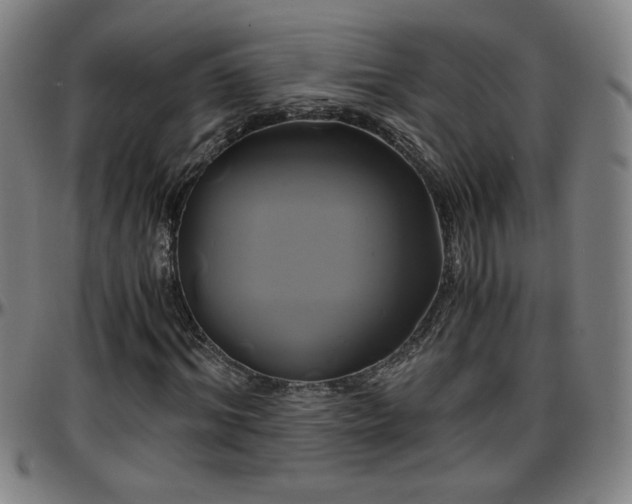 X0000096380964200801311255
