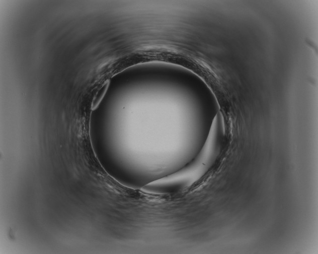 X0000096380965200801311255