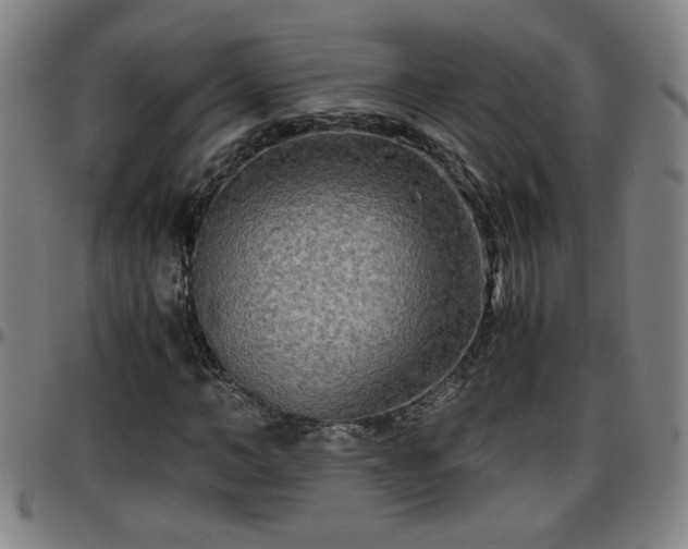 X0000096380966200801311255