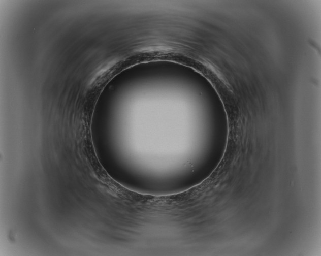 X0000096380967200801311255