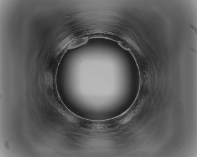 X0000096380969200801311255