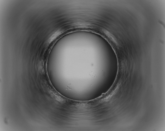 X0000096380970200801311255