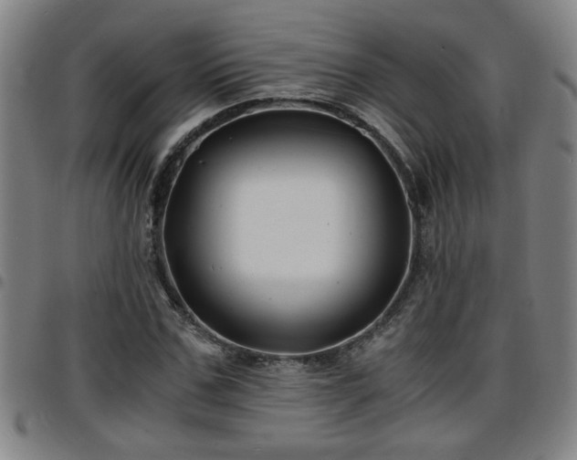 X0000096380971200801311255