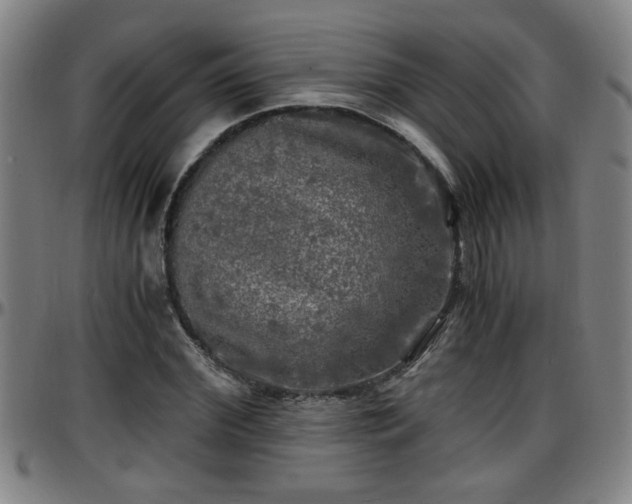 X0000096380972200801311255